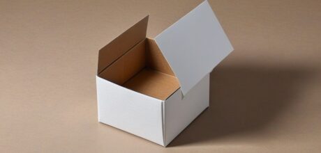 Papel Duplex Branco Verso Cinza: Aplicações e Vantagens