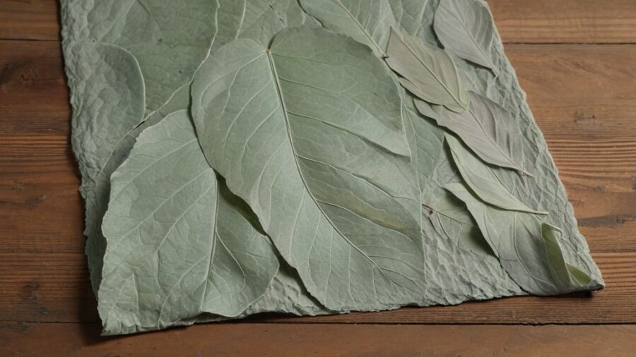 Técnicas de Coloração Natural em Papel Reciclado